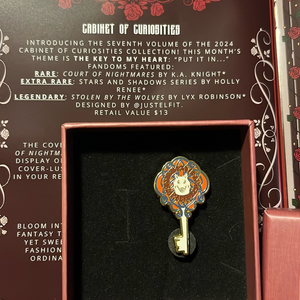 Darkly Cabinet of Curiosities pin